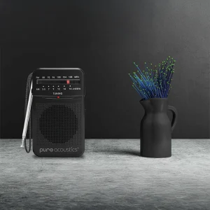רדיו נייד AM/FM עם רמקול חזק וסאונד איכותי בעיצוב רטרו | Pure Acoustics RD-20