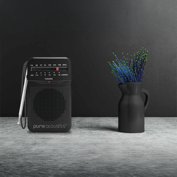 רדיו נייד AM/FM עם רמקול חזק וסאונד איכותי בעיצוב רטרו | Pure Acoustics RD-20