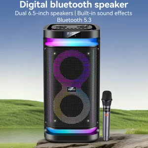 בידורית קריוקי ניידת 40W עם מיקרופון ורמקולים כפולים 6.5 אינץ׳ | Yesido YSW29