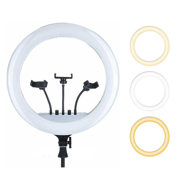 רינג לייט מקצועי 45 ס״מ בגובה 2 מטר 55W עם שלט רחוק, תיק נשיאה ו-3 מחזיקים לסמארטפון | Cellero CL-18