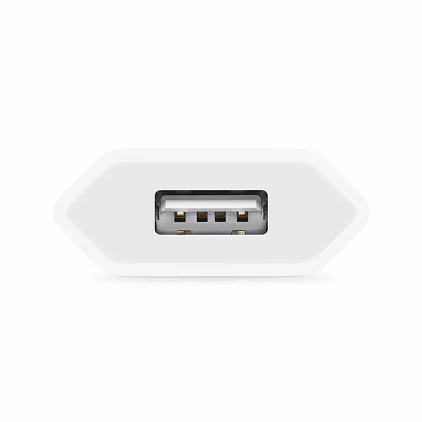 Old iPhone Charger